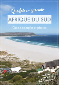 voyage afrique du sud en famille